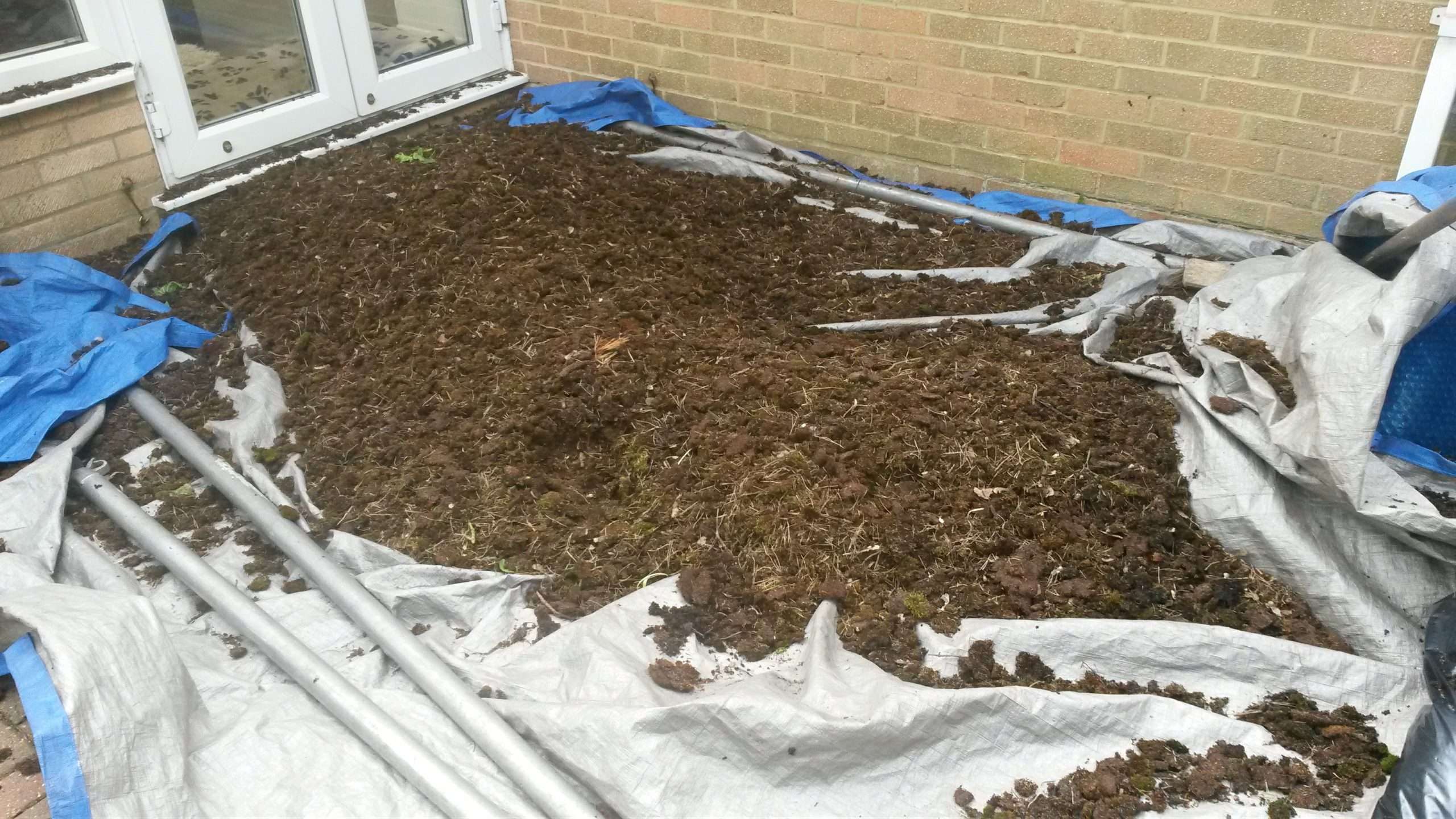 Roof moss on a sheet Roof moss on a sheet