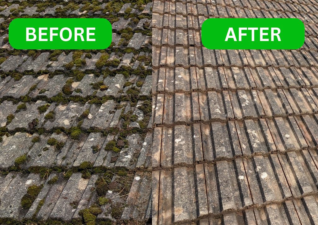 Moss on roof Moss on roof