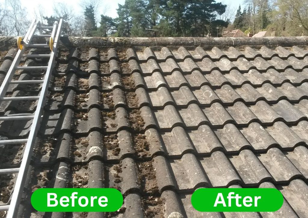 Before Before moss removal