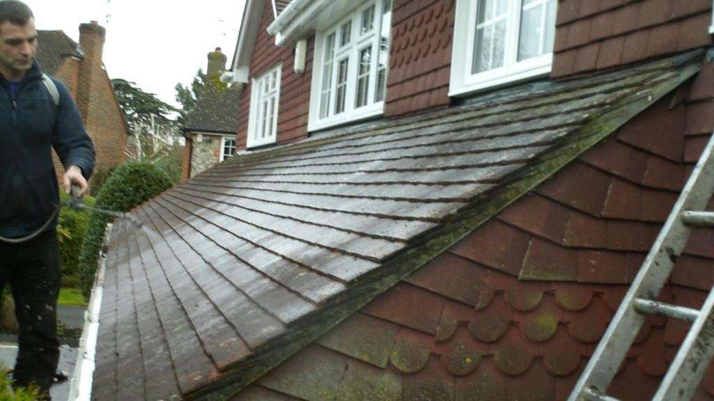 Biocide applied Roof moss on a sheet