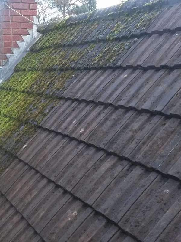 Moss on roof Moss on roof